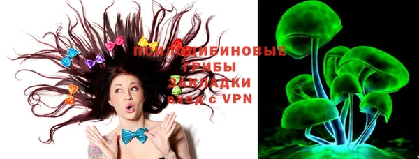 соль ск Бикин