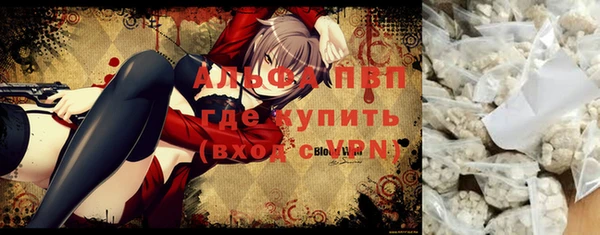 сатива Инсар