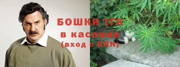 сатива Инсар